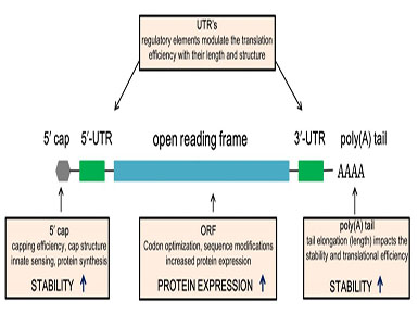 galaxy银河国际加帽试剂相关发明专利获得国家知识产权局受理